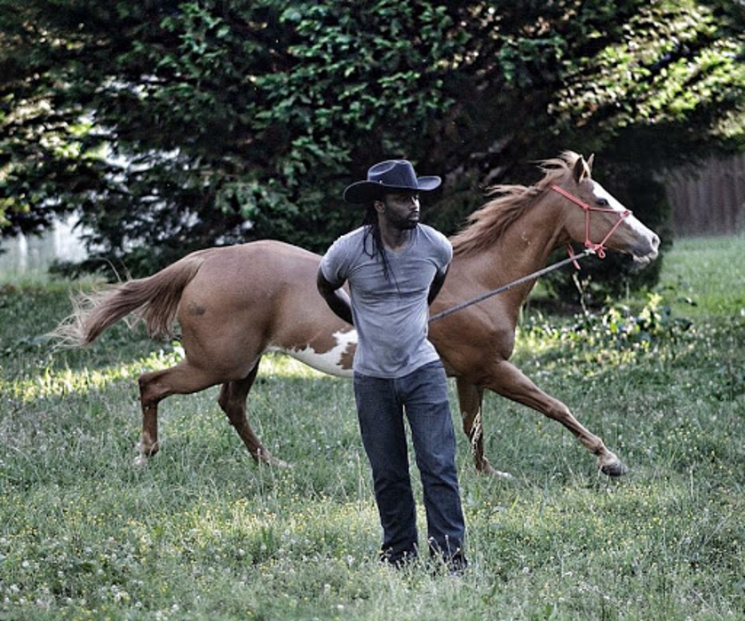 JD's Horse Ranch - Fairburn, GA