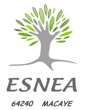 Sica SARL Esnea Expert