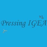 Pressing IGEA blanchisserie pour collectivités