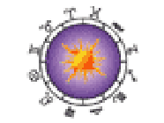 Billard Corinne artiste du spectacle