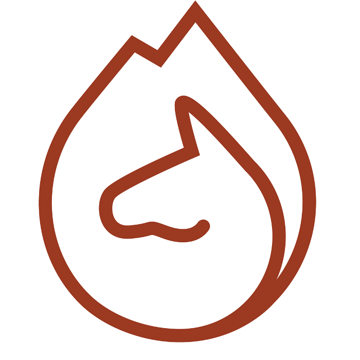 Appart-und Wellnesshotel Charlotte Drei Sterne Superior in Seefeld in Tirol