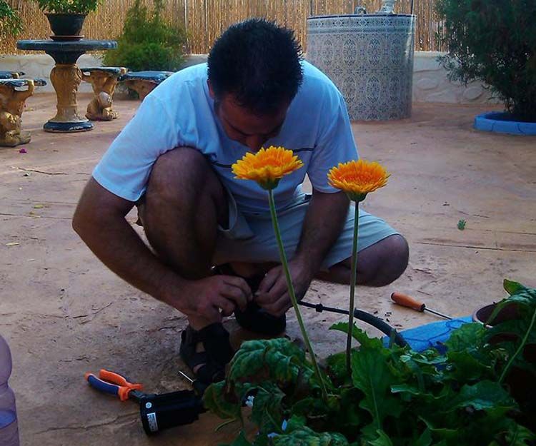 Galería en miniatura