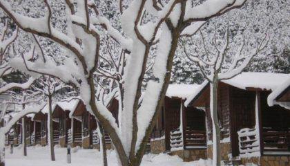 Foto de Camping Valle De Tena