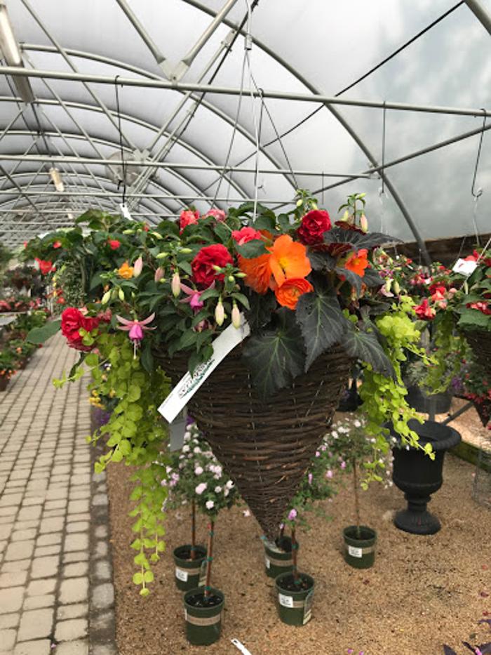 Passiglia's Nursery & Garden Center - Glencoe, MO