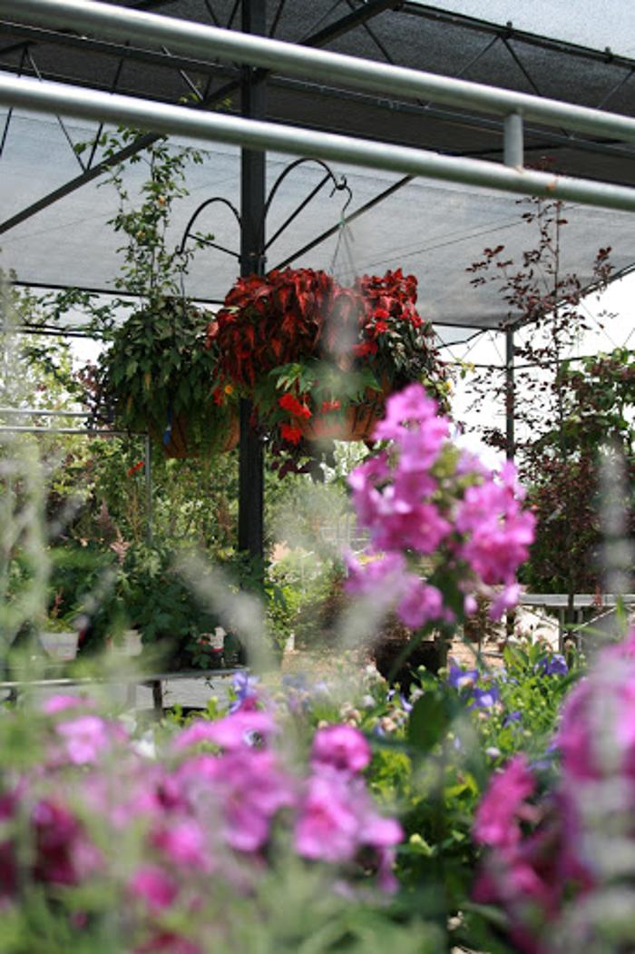 Passiglia's Nursery & Garden Center - Glencoe, MO