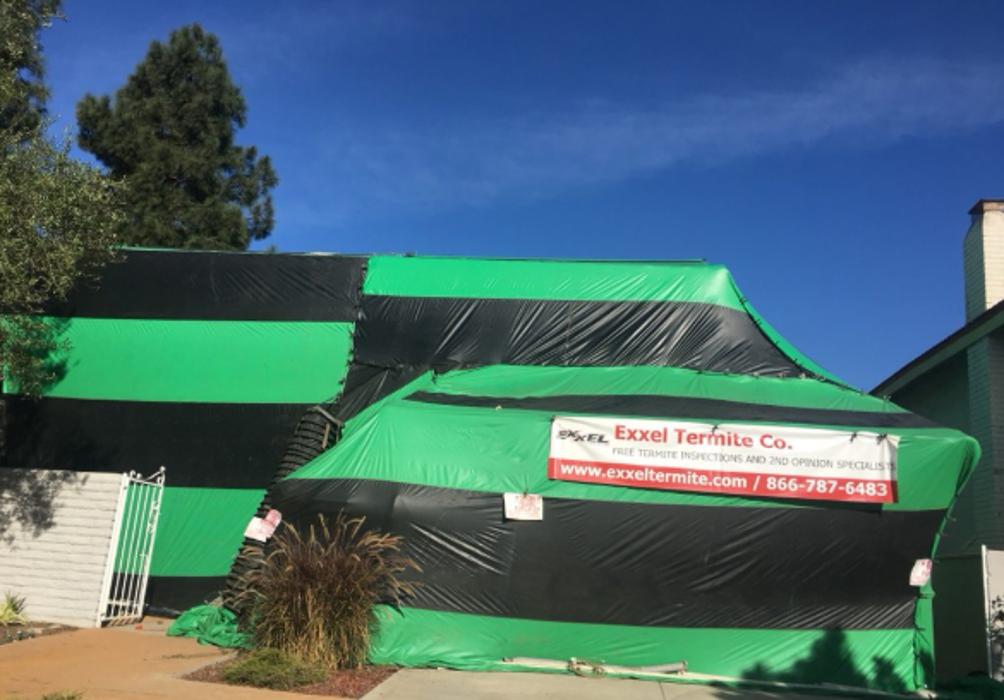 Exxel Termite Co. - Paramount, CA