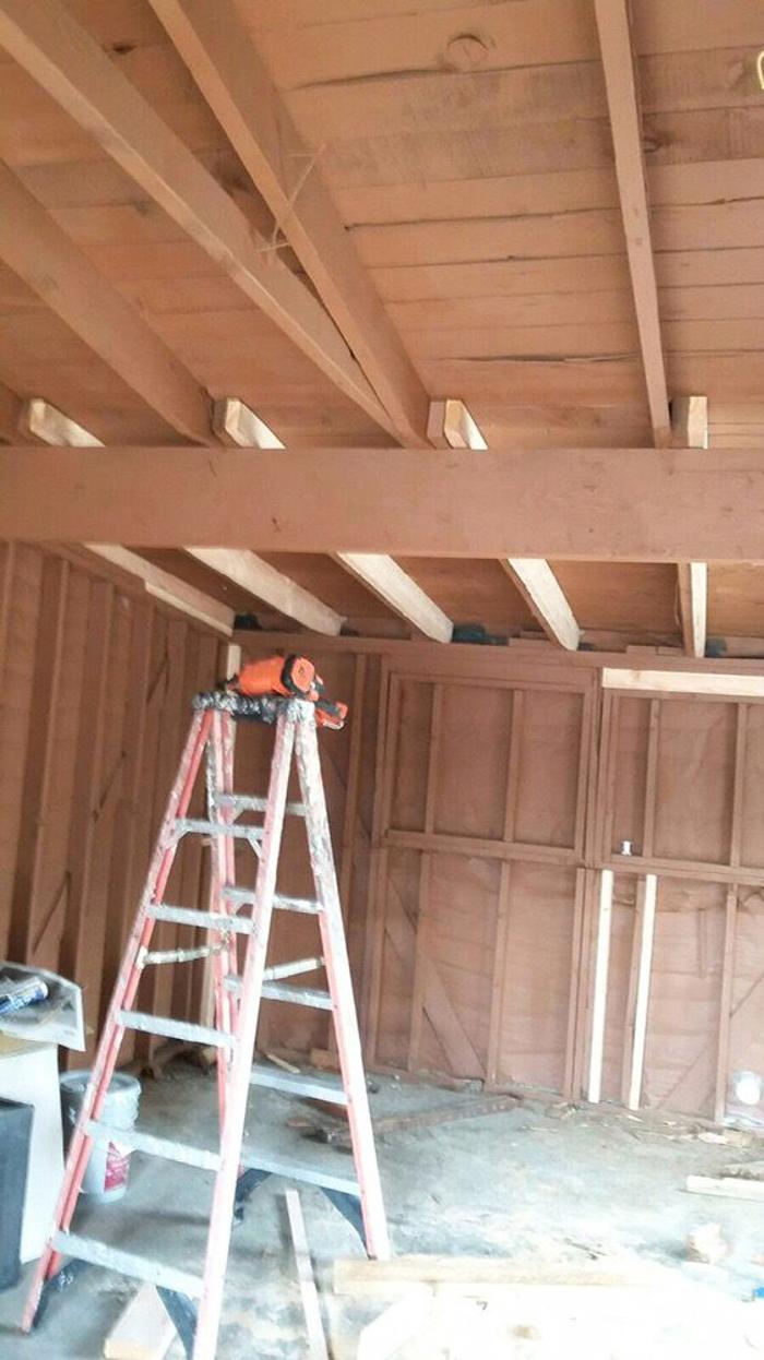 Exxel Termite Co. - Paramount, CA