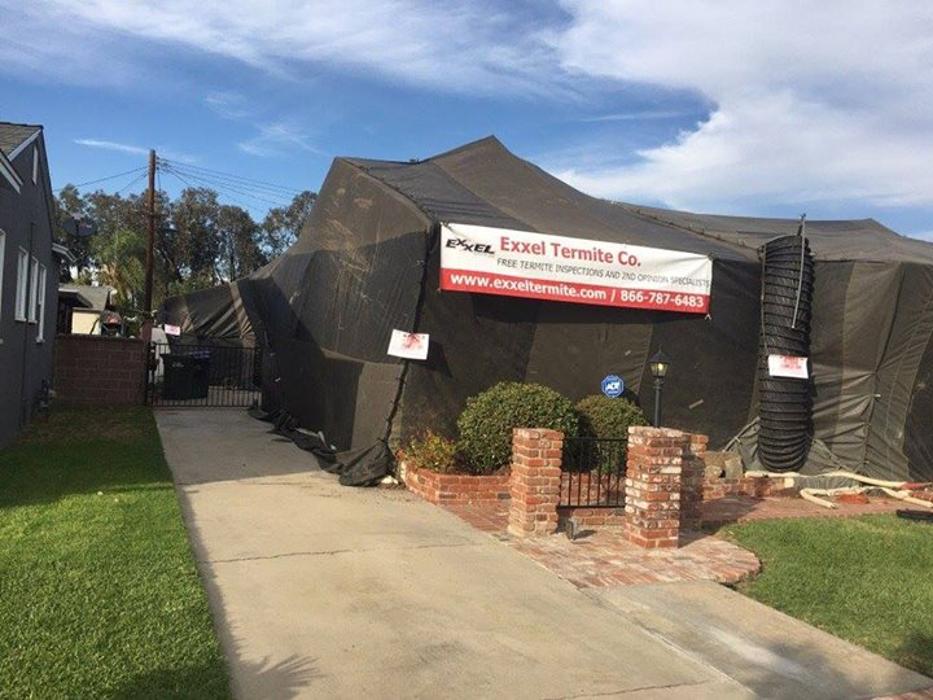 Exxel Termite Co. - Paramount, CA