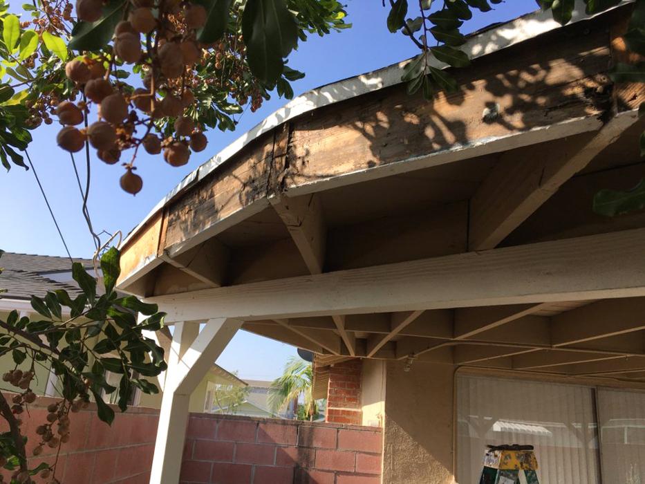 Exxel Termite Co. - Paramount, CA