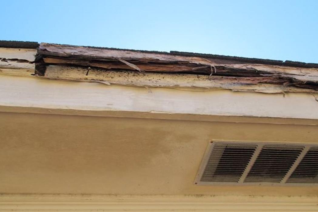 Exxel Termite Co. - Paramount, CA