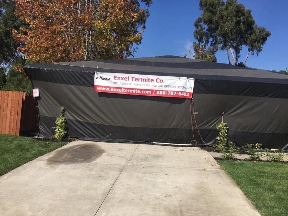 Exxel Termite Co. - Paramount, CA