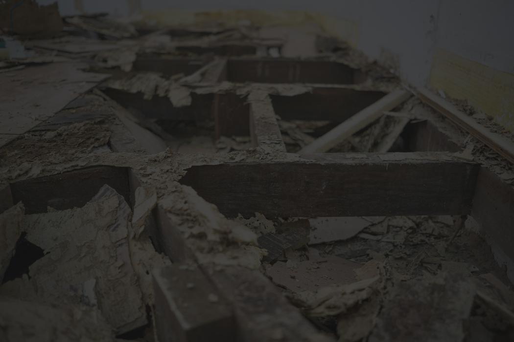 Exxel Termite Co. - Paramount, CA