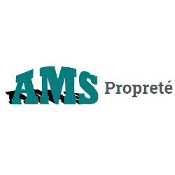 AMS Service Propreté vidange et curage