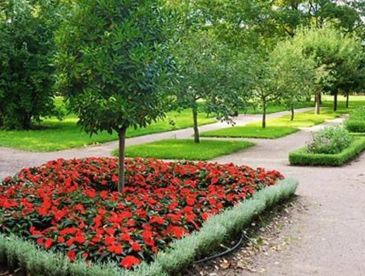 LEROY ESPACE VERT Expert