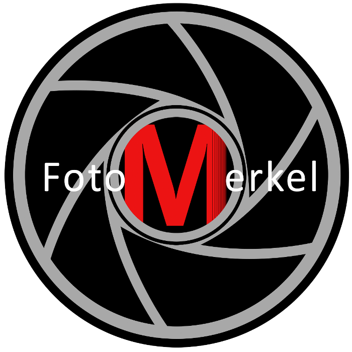 Logo Studio Merkel