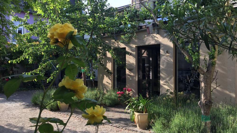 GesprächsSTOFF von Ulrike Wachter, Naheweinstraße in Langenlonsheim