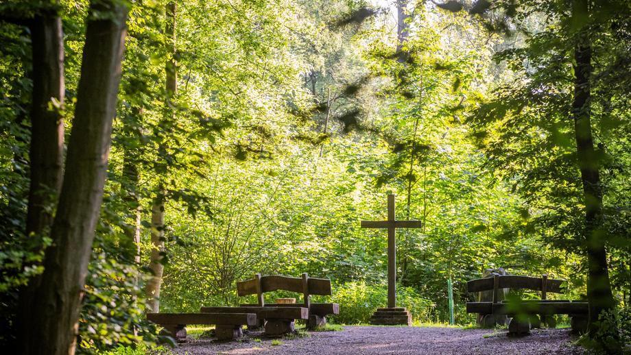 FriedWald Dormagen, Further Weg in Köln