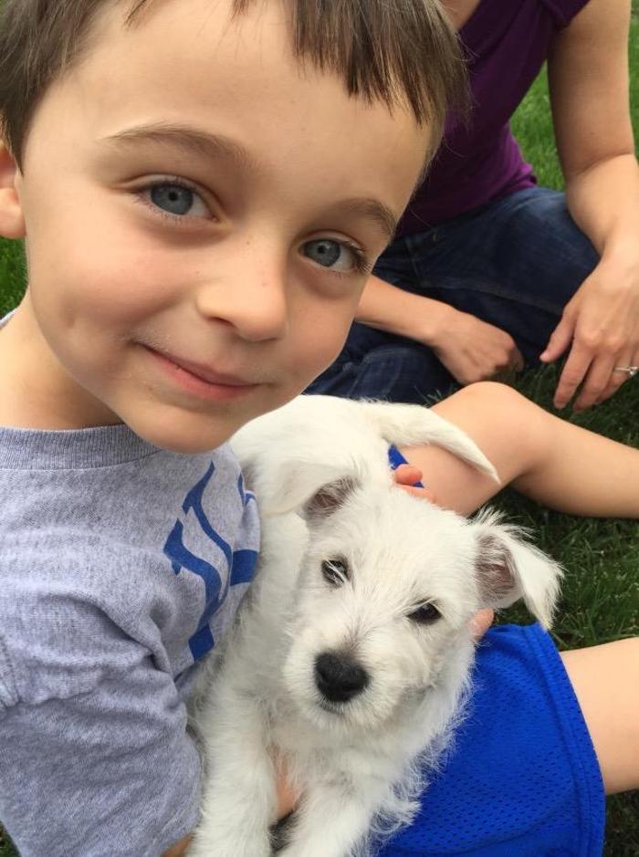 The Family Puppy of Fountain Walk - Novi, MI