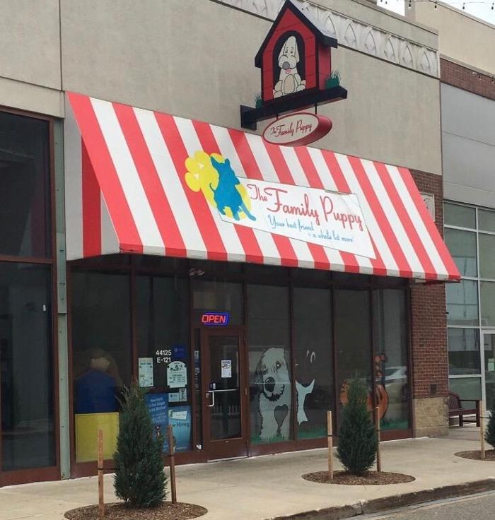 The Family Puppy of Fountain Walk - Novi, MI