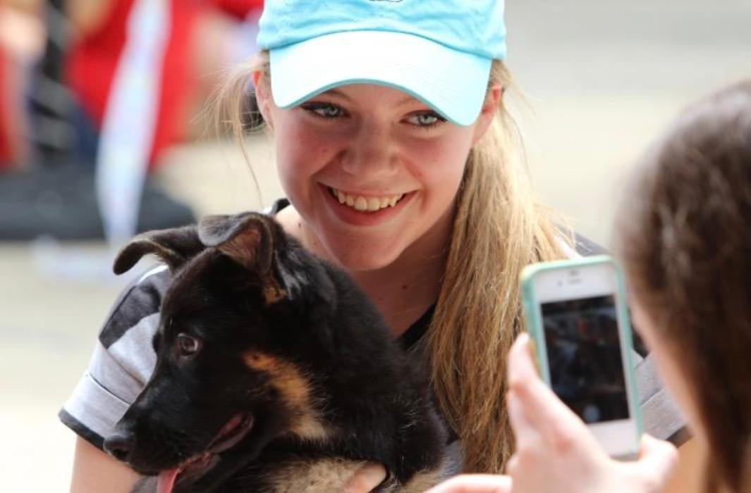 The Family Puppy of Oakland Mall - Troy, MI