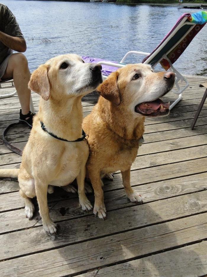 Edina Pet Hospital - Minneapolis, MN