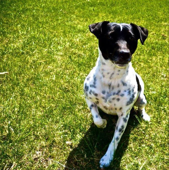 Edina Pet Hospital - Minneapolis, MN