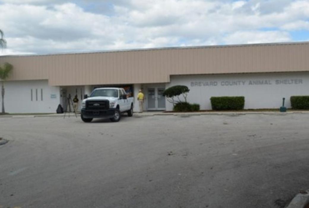 East Coast Construction SD - Melbourne, FL