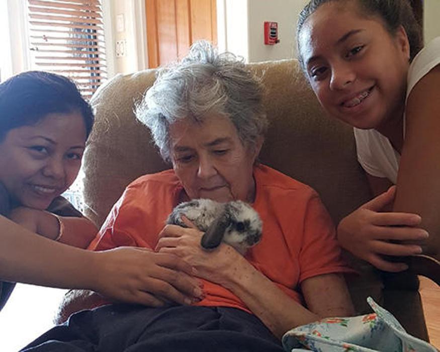 Kina 'Ole Estate - Kaneohe, HI