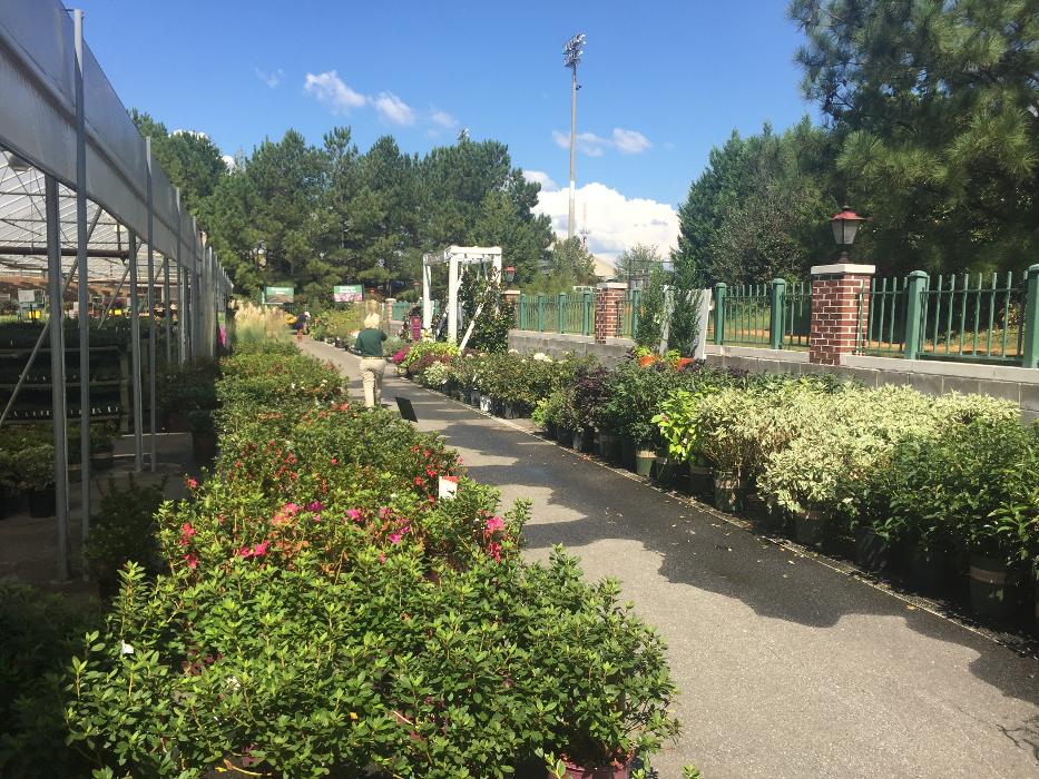 Pike Nurseries - Roswell, GA