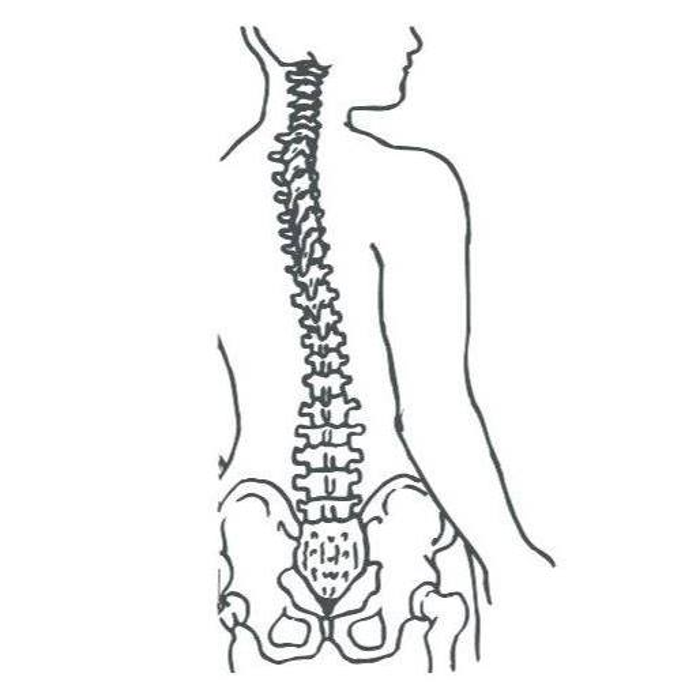 Bild zu Eselsberg Physiotherapie in Ulm an der Donau Bild zu Eselsberg Physiotherapie in Ulm an der Donau