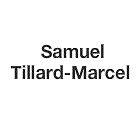 Samuel Tillard Marcel Therapies psychothérapeute