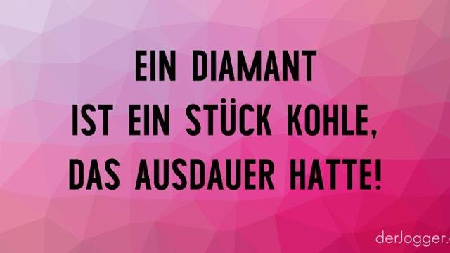 DiMiKi, Gastro Consulting, Oeltingsallee in Pinneberg