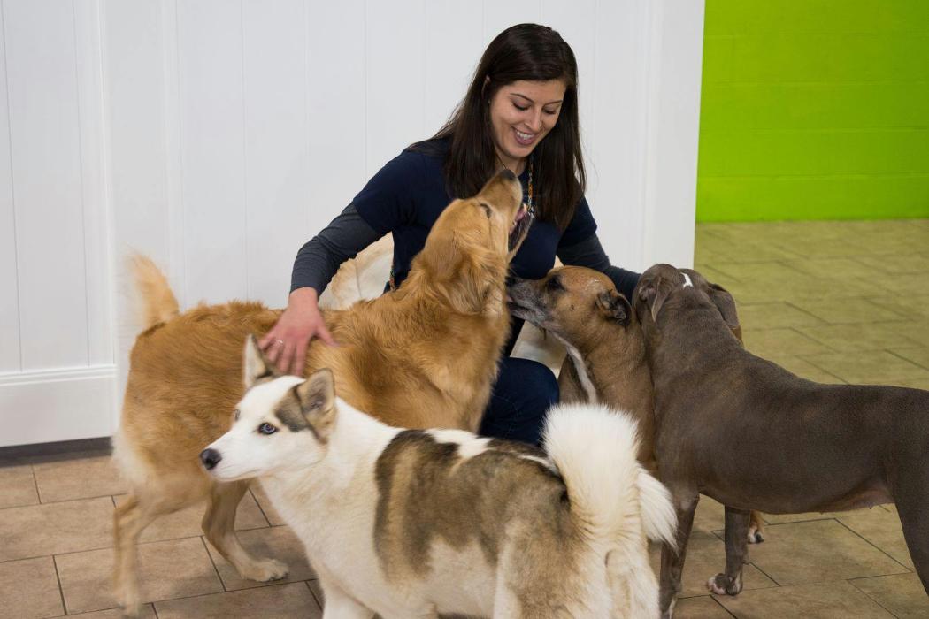 Hounds Town Sanford - Sanford, FL