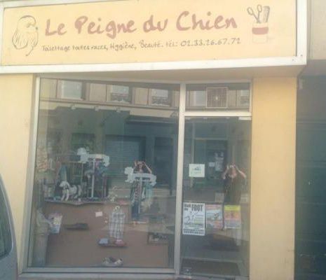 galerie image galerie image