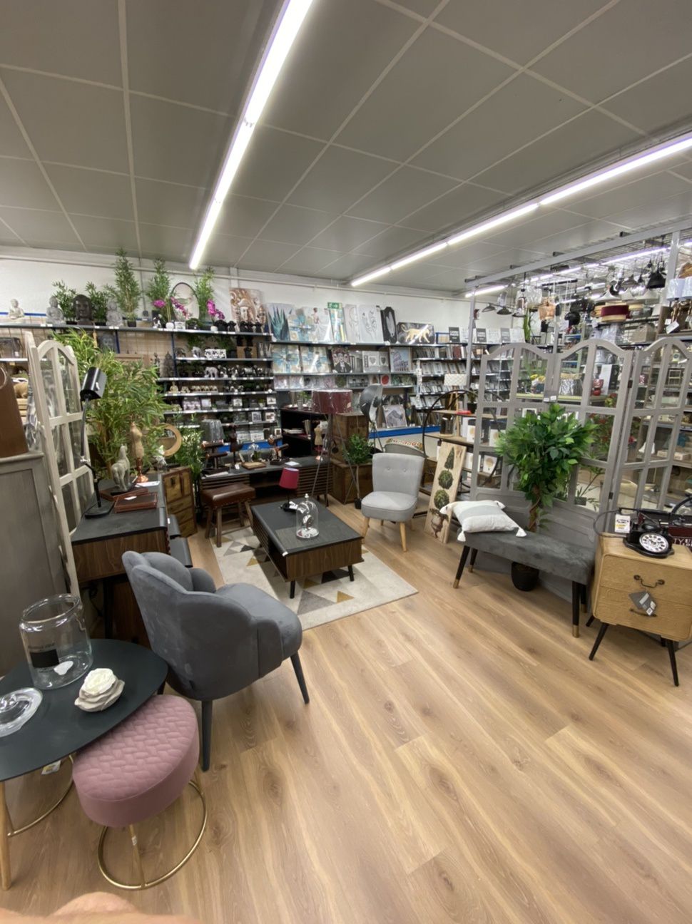 galerie image