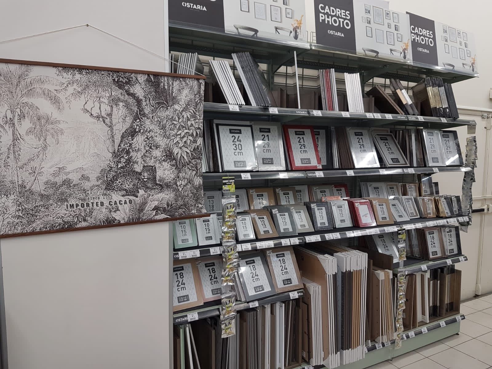 galerie image