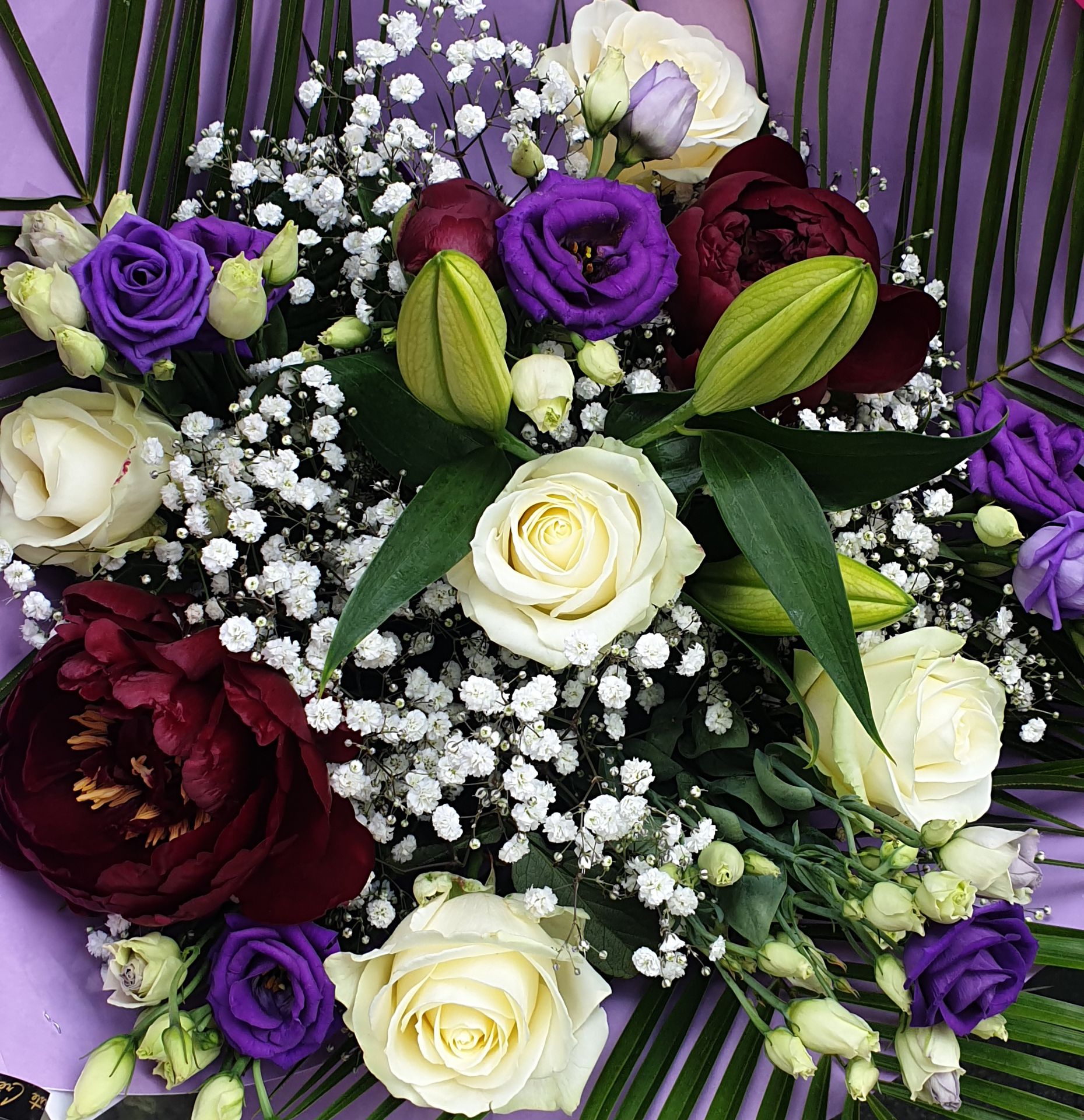 galerie image galerie image