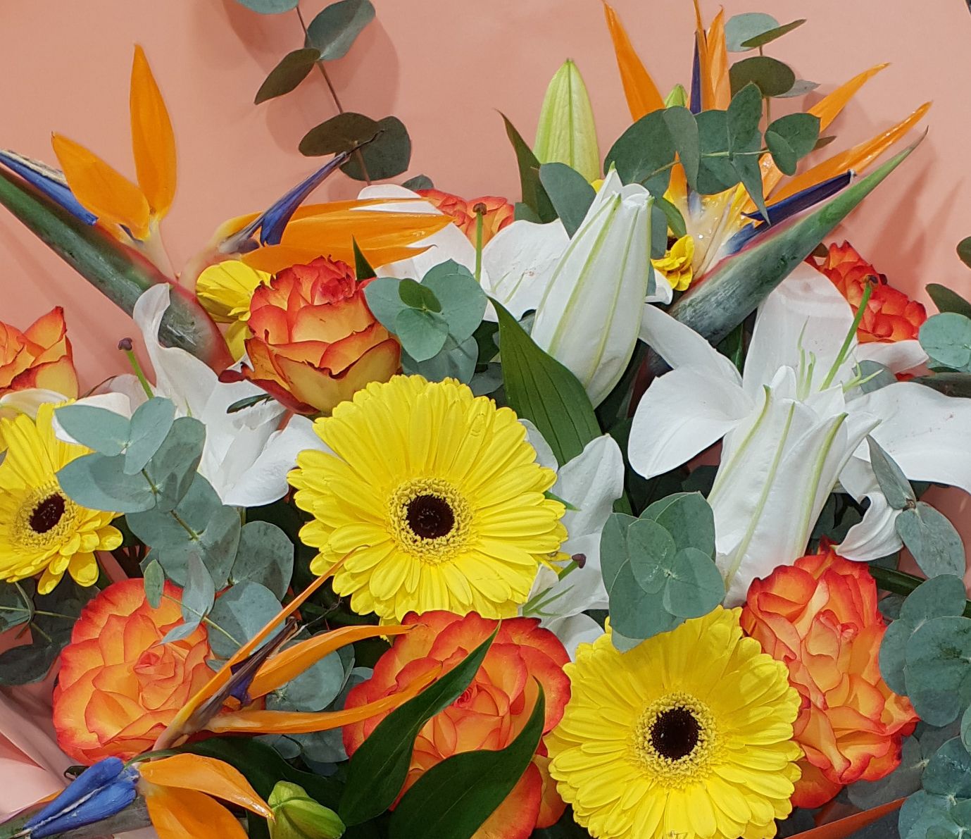 galerie image galerie image