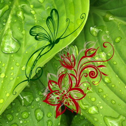 galerie image galerie image