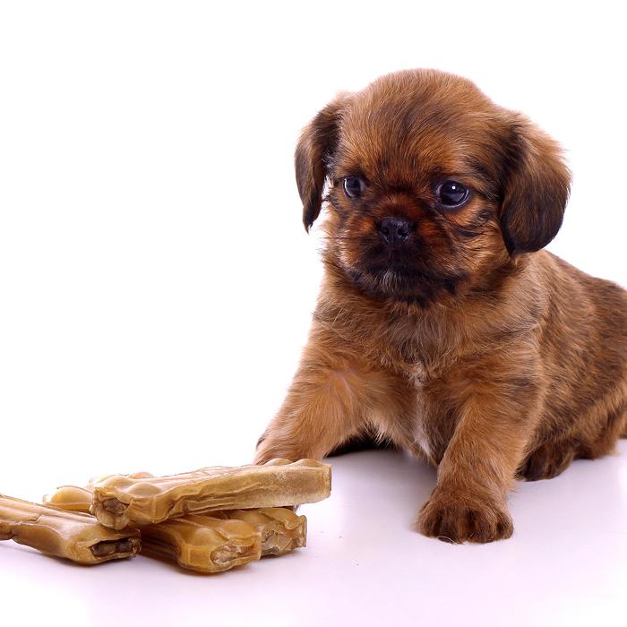 Cats & Dogs Tiernahrungs Boutique, Freistädter Straße in Linz