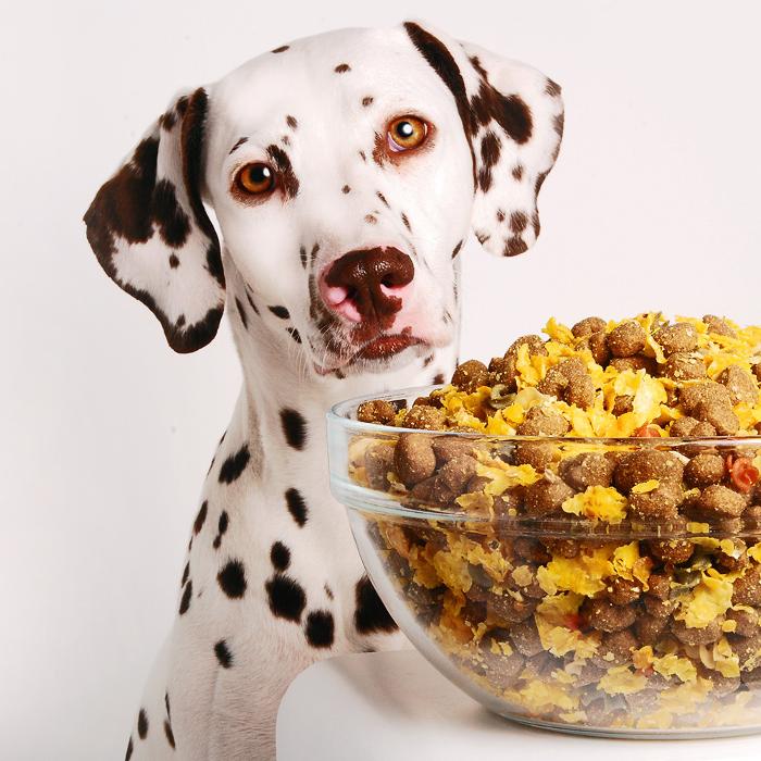 Cats & Dogs Tiernahrungs Boutique, Freistädter Straße in Linz