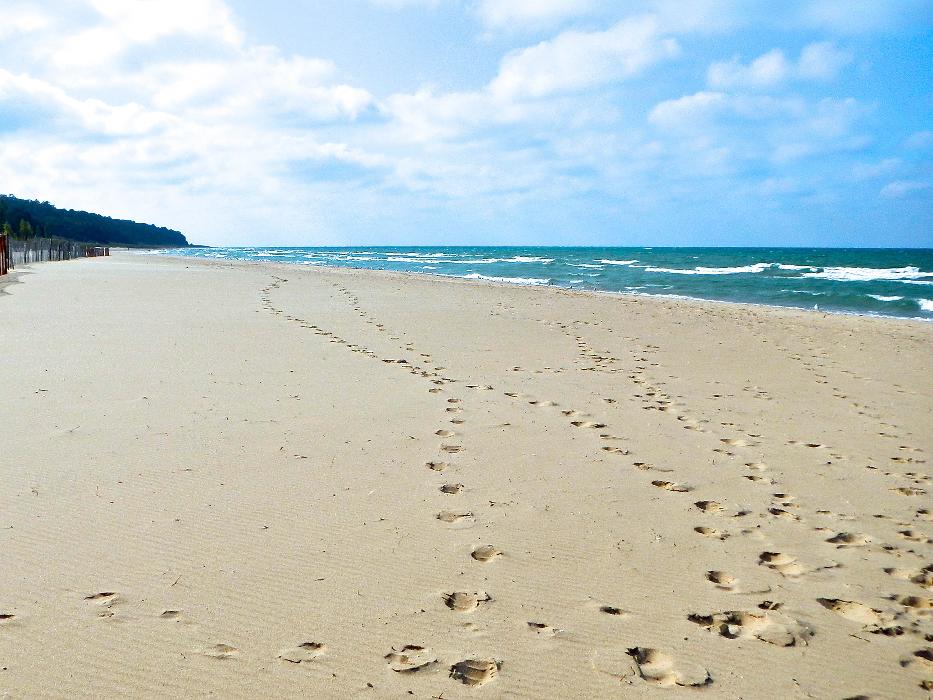 Saugatuck Vacation Rentals - Saugatuck, MI