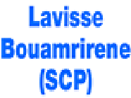 Lavisse Bouamrirene SCP avocat