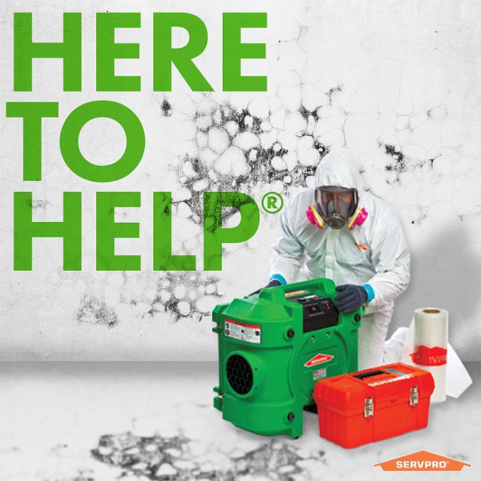 SERVPRO - Lake Elsinore/Perris - Lake Elsinore, CA