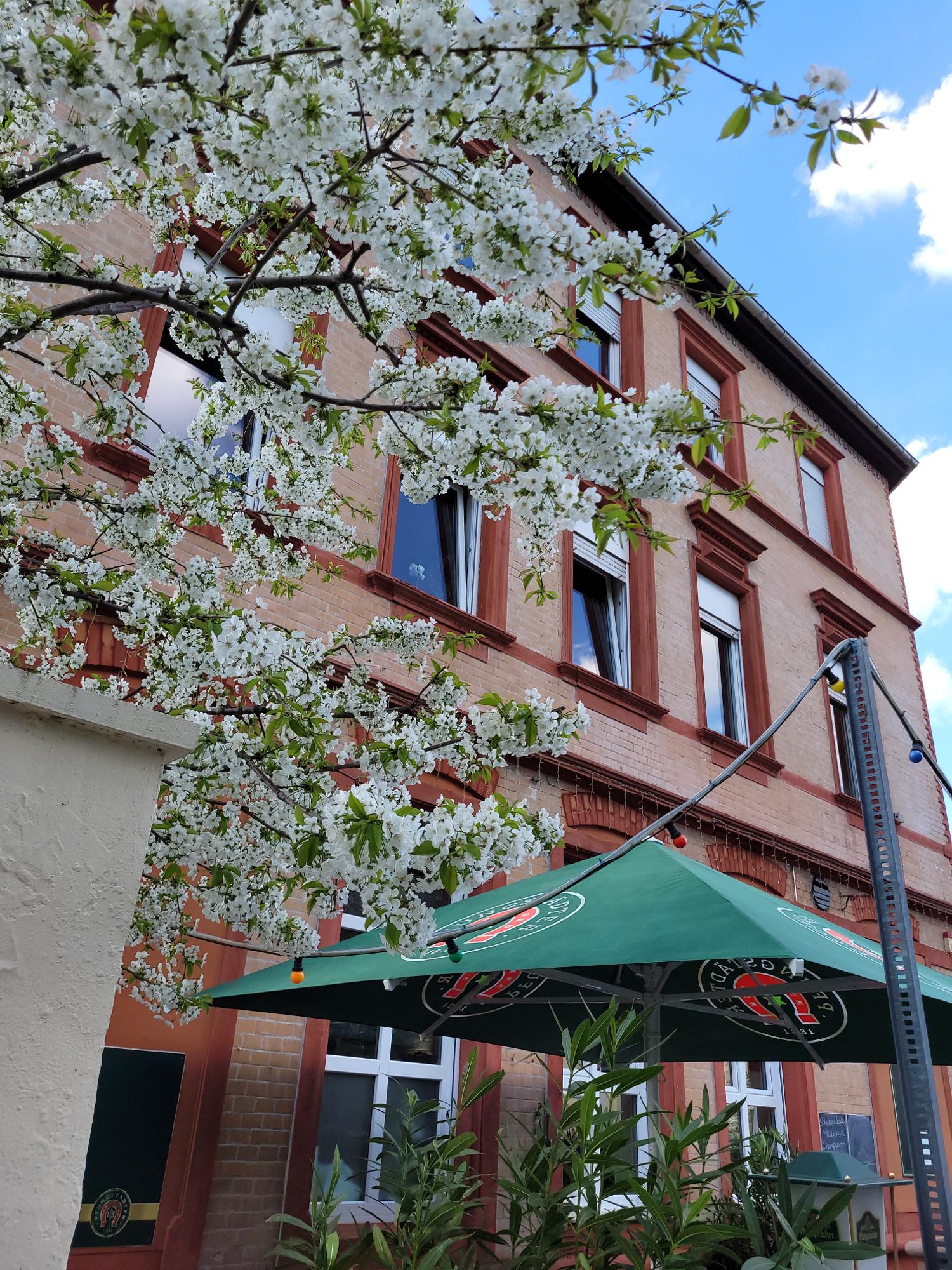 Restaurant in Ludwigshafen Am Rhein, DE