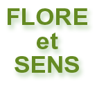 Flor Et Sens fleuriste