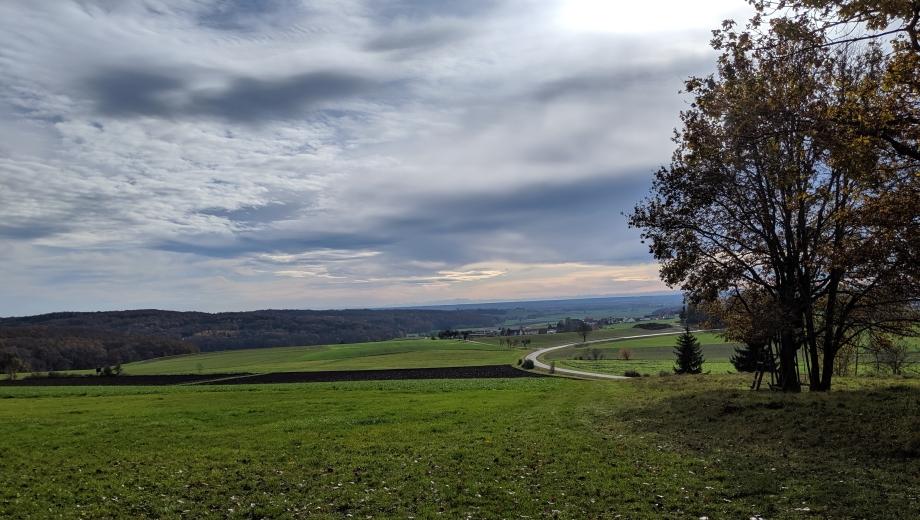 FriedWald Duttenstein, Am Strehler in Dischingen