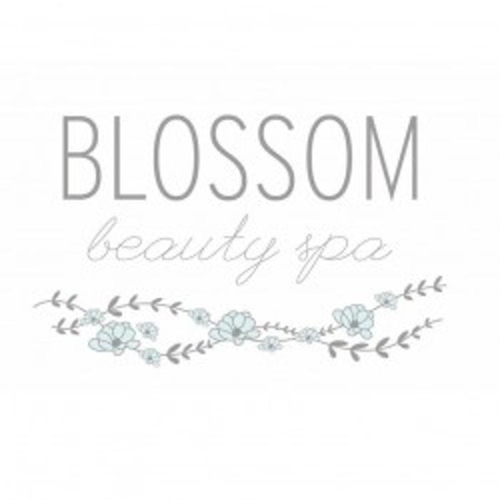 Blossom Beauty Spa - Ballston Spa, NY