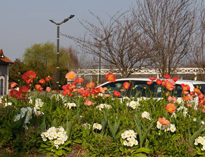 galerie image galerie image