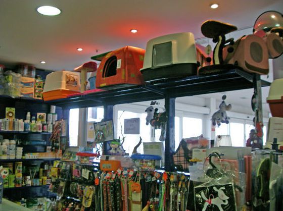 Galería en miniatura